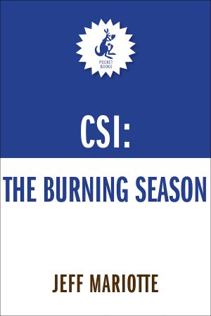 [CSI: Crime Scene Investigation 18] • The Burning Season